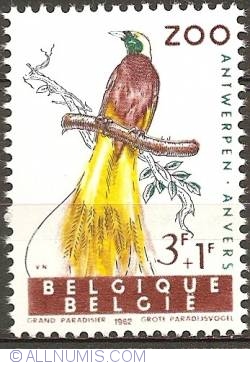 3+1 Franc 1962 - Greater Bird-of-paradise (Paradisaea apoda)
