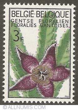 Image #1 of 3 Francs 1965 - Floralies of Ghent - Stapelia