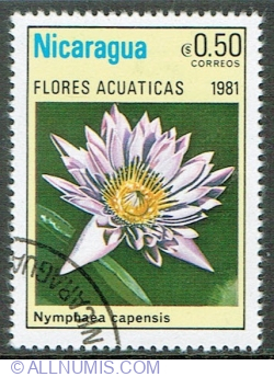 Image #1 of 0.50 Cordoba 1981 - Nymphaea capensis