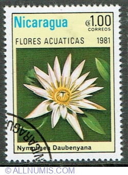 Image #1 of 1 Cordoba 1981 - Nymphaea daubenyana