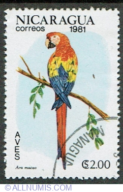 Image #1 of 2 Cordoba 1981 - Scarlet Macaw (Ara macao)