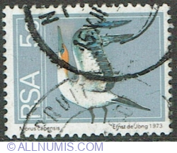 Image #1 of 5 Cents 1974 - Cape Gannet (Morus capensis)