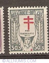 30+5 Centimes 1925 - Fight against tuberculosis