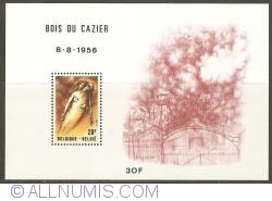 30 Francs 1981 - 25th Anniversary of Mine Disaster in Bois du Cazier, Marcinelle - Souvenir Sheet