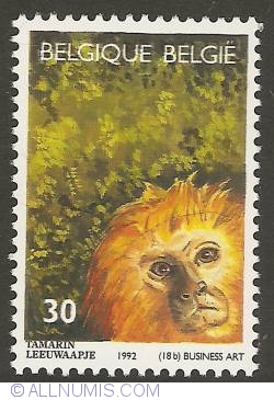 30 Francs 1992 - Zoo of Antwerp - Golden-headed Lion Tamarin