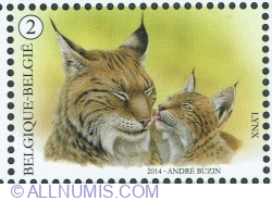 Image #1 of "2" 2014 - Eurasian Lynx (Lynx lynx)