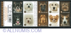 Image #1 of 10 x "1" 2014 - Dog Breeds
