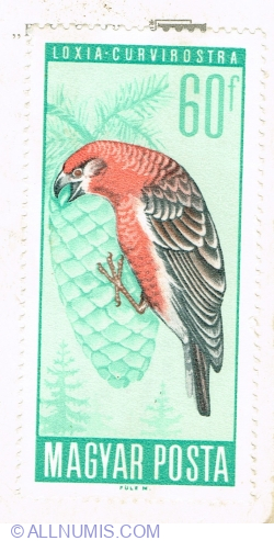 Image #1 of 60 Filler 1966 - Red Crossbill (Loxia curvirostra)