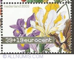 39 + 19 Eurocent 2003 - Spanish Iris