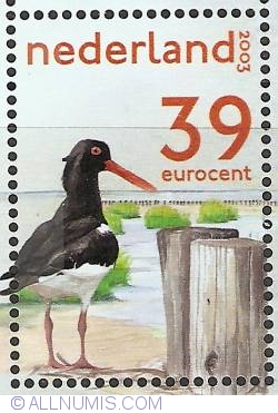 Image #1 of 39 Euro Cent 2003 - Oyster Catcher