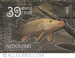 39 Eurocent 2005 - Pike