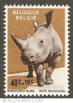 Image #1 of 40 + 10 Centimes 1961 - White Rhinoceros