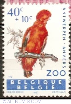 40+10 Centimes 1962 - Andean Cock-of-the-rock (Rupicola peruviana)