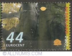 44 Eurocent 2007 - Beech