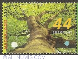 44 Eurocent 2007 - Common Lime
