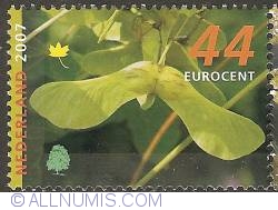 44 Eurocent 2007 - Norway Maple