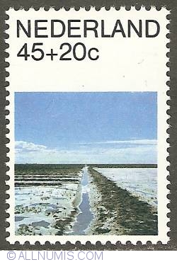 Image #1 of 45 + 20 Cent 1981 - Summer Stamp