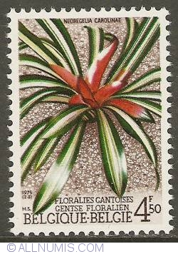 Image #1 of 4,50 Francs 1975 - Floralies of Ghent - Neoregelia