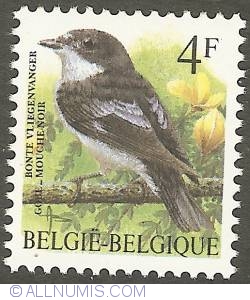 Image #1 of 4F Pied Flycatcher 1996