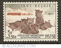 5 + 2,50 Francs - Antarctic Expedition 1957-1958 - Sledge dogs