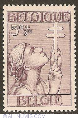 5 + 5 Francs 1933 - Fight against Tuberculosis