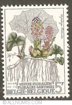 Image #1 of 5 Francs 1975 - Floralies of Ghent - Tussilago Patasites