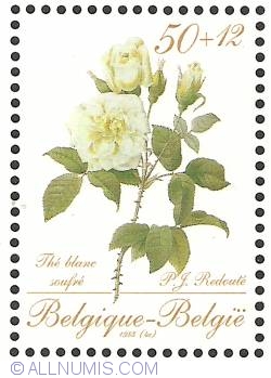 Image #1 of 50 + 12 Francs 1988 - Roses of P.J. Redouté - Thé Blanc Soufré