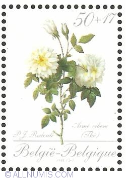 Image #1 of 50 + 17 Francs 1989 - Roses of P.J. Redouté - Aimé Vibère (Thé)