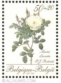 Image #1 of 50 + 20 Francs 1990 - Roses of P.J. Redouté - Maria Léonida