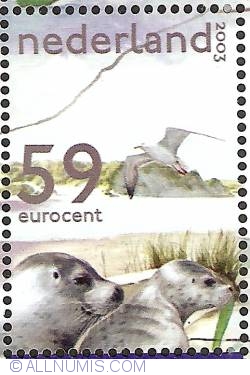 59 Euro Cent 2003 - Seals and Silver Gulls
