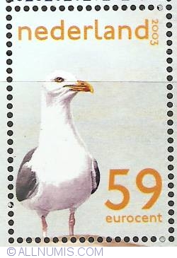 59 Euro Cent 2003 - Small Black-backed Gull