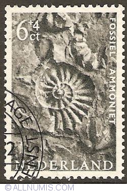 Image #1 of 6 + 4 Cent 1962 - Fossil : Ammonite