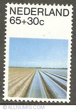 65 + 30 Cent 1981 - Summer Stamp