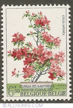 6,50 Francs 1975 - Floralies of Ghent - Japanese Azalea