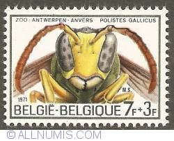 Image #1 of 7 + 3 Francs 1971 - Polistes Gallicus
