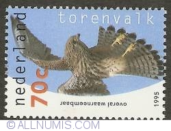 Image #1 of 70 Cent 1995 - Common Kestrel