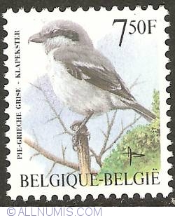 7,50 Francs 1998 - Great Grey Shrike