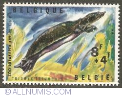 Image #1 of 8 + 4 Francs 1965 - Softshell Turtle