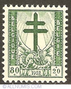 80 + 20 Centimes 1952 - Fight against tuberculosis