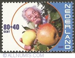 80 + 40 Cent 2000 - Elderly People - Woman picking apples