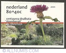 80 + 40 Cent 2001 - Centaurea Dealbata "Steenbergii" - self-adhesive