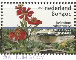 Image #1 of 80 + 40 Cent 2001 - Helenium "rubinswerg"