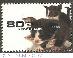 80 Cent 1998 - Kittens
