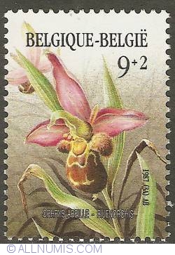Image #1 of 9 + 2 Francs 1987 - Bee Orchid