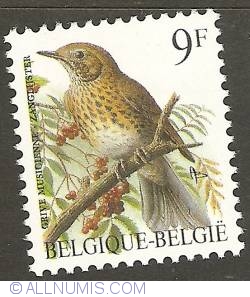 Image #1 of 9 Francs 1991 - Song Thrush