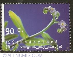 90 Cent 1994 - Wood-forget-me-not