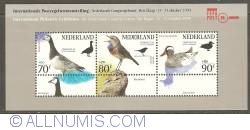 Image #1 of Birds Souvenir Sheet 1994