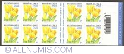 Booklet 2003 - Tulip