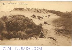Kalmthout - Dunes. Rest after Play (Duinen. Rust na vermaak.)