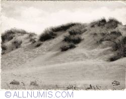 Image #1 of Middelkerke - Dune